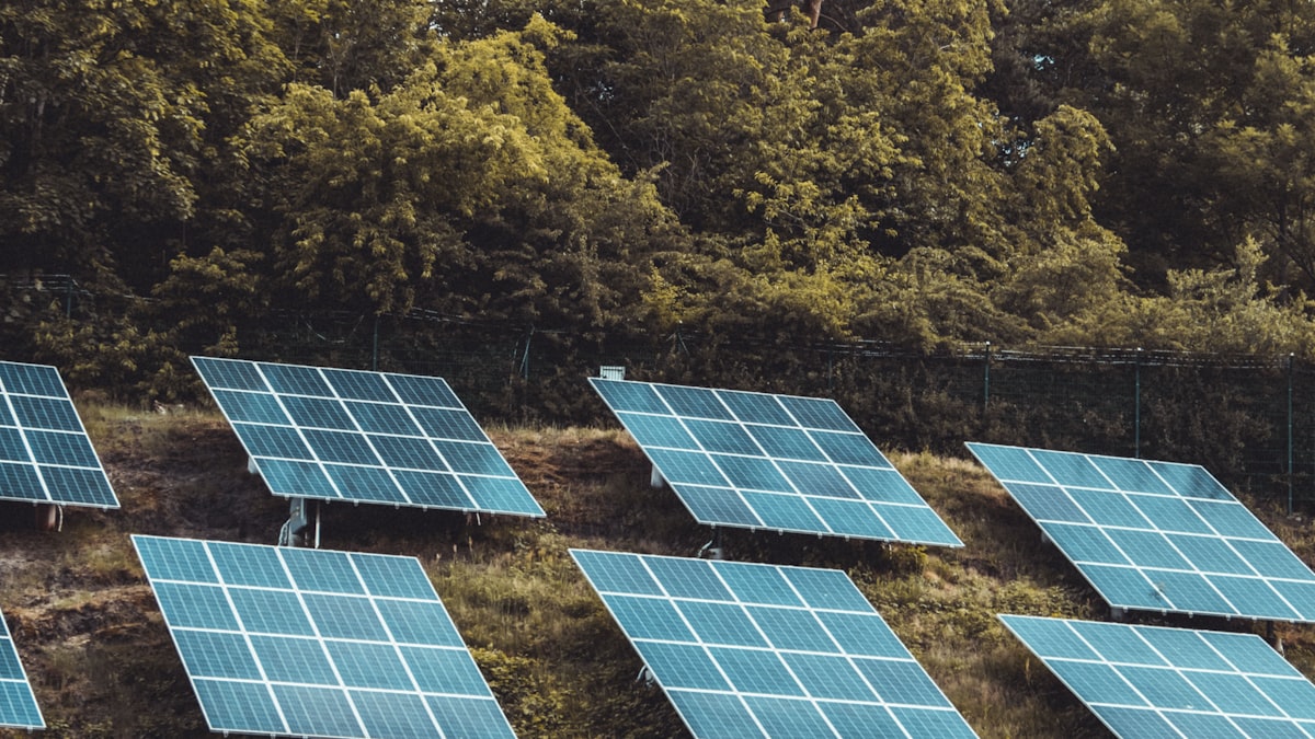 Da cana-de-açúcar ao Bitcoin: como o Brasil transforma seu excedente de energia limpa em mineração